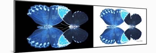 Miss Butterfly Duo Heboformo Pan - X-Ray B&W Edition-Philippe Hugonnard-Mounted Photographic Print