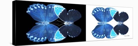 Miss Butterfly Duo Heboformo Pan - X-Ray B&W Edition-Philippe Hugonnard-Stretched Canvas