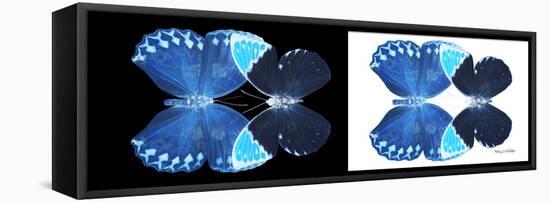 Miss Butterfly Duo Heboformo Pan - X-Ray B&W Edition-Philippe Hugonnard-Framed Stretched Canvas