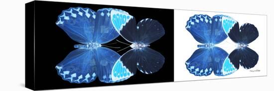 Miss Butterfly Duo Heboformo Pan - X-Ray B&W Edition-Philippe Hugonnard-Stretched Canvas