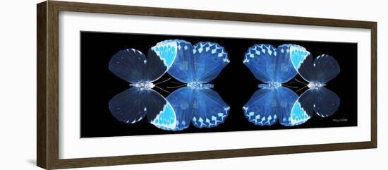 Miss Butterfly Duo Heboformo Pan - X-Ray Black Edition II-Philippe Hugonnard-Framed Photographic Print