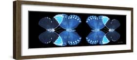 Miss Butterfly Duo Heboformo Pan - X-Ray Black Edition II-Philippe Hugonnard-Framed Photographic Print