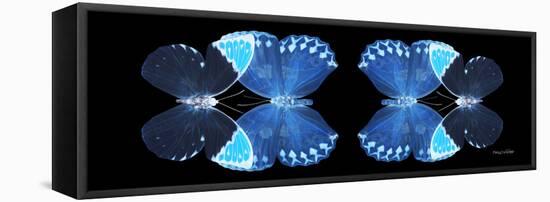 Miss Butterfly Duo Heboformo Pan - X-Ray Black Edition II-Philippe Hugonnard-Framed Stretched Canvas