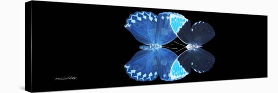 Miss Butterfly Duo Heboformo Pan - X-Ray Black Edition-Philippe Hugonnard-Stretched Canvas