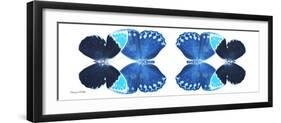 Miss Butterfly Duo Heboformo Pan - X-Ray White Edition II-Philippe Hugonnard-Framed Photographic Print