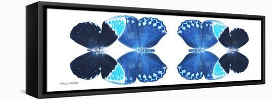 Miss Butterfly Duo Heboformo Pan - X-Ray White Edition II-Philippe Hugonnard-Framed Stretched Canvas