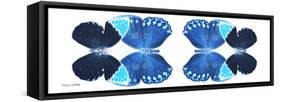 Miss Butterfly Duo Heboformo Pan - X-Ray White Edition II-Philippe Hugonnard-Framed Stretched Canvas