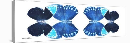 Miss Butterfly Duo Heboformo Pan - X-Ray White Edition II-Philippe Hugonnard-Stretched Canvas