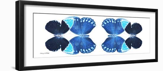 Miss Butterfly Duo Heboformo Pan - X-Ray White Edition II-Philippe Hugonnard-Framed Photographic Print