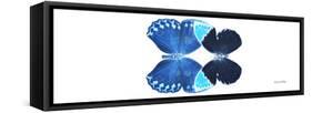 Miss Butterfly Duo Heboformo Pan - X-Ray White Edition-Philippe Hugonnard-Framed Stretched Canvas