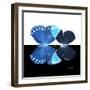 Miss Butterfly Duo Heboformo Sq - X-Ray B&W Edition-Philippe Hugonnard-Framed Photographic Print