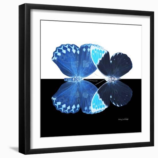 Miss Butterfly Duo Heboformo Sq - X-Ray B&W Edition-Philippe Hugonnard-Framed Photographic Print