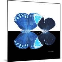 Miss Butterfly Duo Heboformo Sq - X-Ray B&W Edition-Philippe Hugonnard-Mounted Photographic Print