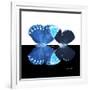 Miss Butterfly Duo Heboformo Sq - X-Ray B&W Edition-Philippe Hugonnard-Framed Photographic Print