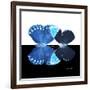 Miss Butterfly Duo Heboformo Sq - X-Ray B&W Edition-Philippe Hugonnard-Framed Photographic Print