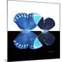 Miss Butterfly Duo Heboformo Sq - X-Ray B&W Edition-Philippe Hugonnard-Mounted Photographic Print