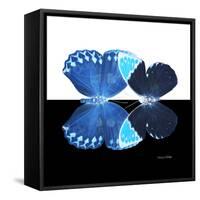 Miss Butterfly Duo Heboformo Sq - X-Ray B&W Edition-Philippe Hugonnard-Framed Stretched Canvas