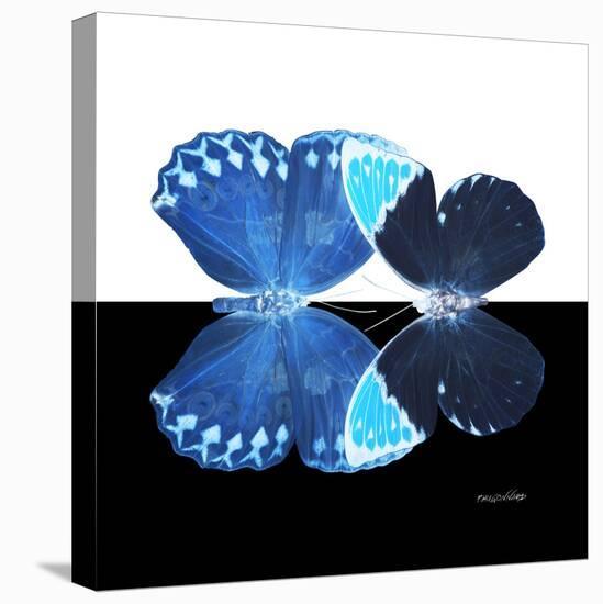Miss Butterfly Duo Heboformo Sq - X-Ray B&W Edition-Philippe Hugonnard-Stretched Canvas
