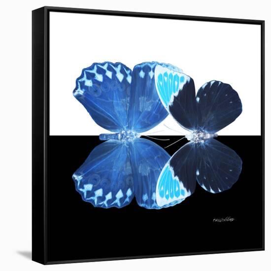 Miss Butterfly Duo Heboformo Sq - X-Ray B&W Edition-Philippe Hugonnard-Framed Stretched Canvas