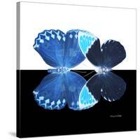 Miss Butterfly Duo Heboformo Sq - X-Ray B&W Edition-Philippe Hugonnard-Stretched Canvas