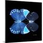 Miss Butterfly Duo Heboformo Sq - X-Ray Black Edition-Philippe Hugonnard-Mounted Photographic Print