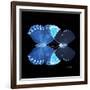 Miss Butterfly Duo Heboformo Sq - X-Ray Black Edition-Philippe Hugonnard-Framed Photographic Print