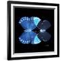 Miss Butterfly Duo Heboformo Sq - X-Ray Black Edition-Philippe Hugonnard-Framed Photographic Print