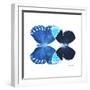 Miss Butterfly Duo Heboformo Sq - X-Ray White Edition-Philippe Hugonnard-Framed Photographic Print