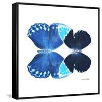 Miss Butterfly Duo Heboformo Sq - X-Ray White Edition-Philippe Hugonnard-Framed Stretched Canvas