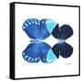 Miss Butterfly Duo Heboformo Sq - X-Ray White Edition-Philippe Hugonnard-Framed Stretched Canvas