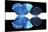 Miss Butterfly Duo Heboformo - X-Ray B&W Edition II-Philippe Hugonnard-Stretched Canvas