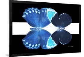 Miss Butterfly Duo Heboformo - X-Ray B&W Edition II-Philippe Hugonnard-Framed Photographic Print