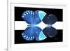 Miss Butterfly Duo Heboformo - X-Ray B&W Edition II-Philippe Hugonnard-Framed Photographic Print