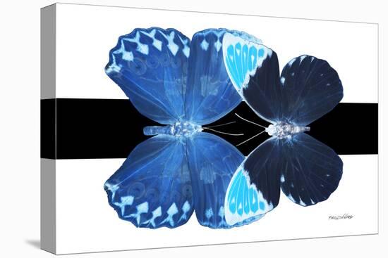 Miss Butterfly Duo Heboformo - X-Ray B&W Edition-Philippe Hugonnard-Stretched Canvas