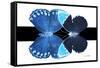 Miss Butterfly Duo Heboformo - X-Ray B&W Edition-Philippe Hugonnard-Framed Stretched Canvas