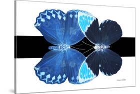 Miss Butterfly Duo Heboformo - X-Ray B&W Edition-Philippe Hugonnard-Stretched Canvas