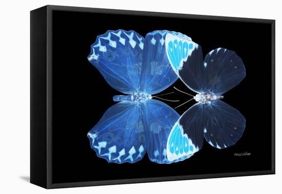 Miss Butterfly Duo Heboformo - X-Ray Black Edition-Philippe Hugonnard-Framed Stretched Canvas