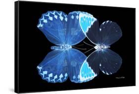 Miss Butterfly Duo Heboformo - X-Ray Black Edition-Philippe Hugonnard-Framed Stretched Canvas