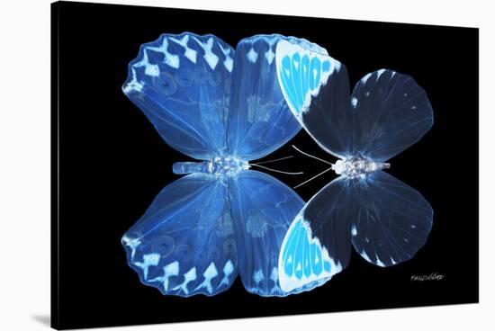 Miss Butterfly Duo Heboformo - X-Ray Black Edition-Philippe Hugonnard-Stretched Canvas