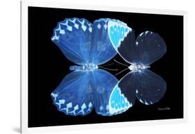 Miss Butterfly Duo Heboformo - X-Ray Black Edition-Philippe Hugonnard-Framed Photographic Print