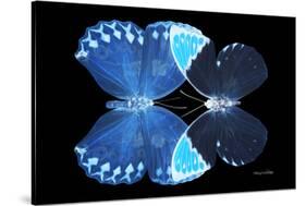 Miss Butterfly Duo Heboformo - X-Ray Black Edition-Philippe Hugonnard-Stretched Canvas