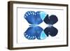 Miss Butterfly Duo Heboformo - X-Ray White Edition-Philippe Hugonnard-Framed Photographic Print