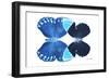 Miss Butterfly Duo Heboformo - X-Ray White Edition-Philippe Hugonnard-Framed Photographic Print