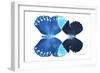 Miss Butterfly Duo Heboformo - X-Ray White Edition-Philippe Hugonnard-Framed Photographic Print