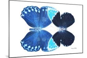 Miss Butterfly Duo Heboformo - X-Ray White Edition-Philippe Hugonnard-Mounted Photographic Print