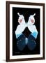 Miss Butterfly Duo Hermosana II - X-Ray Black Edition-Philippe Hugonnard-Framed Photographic Print