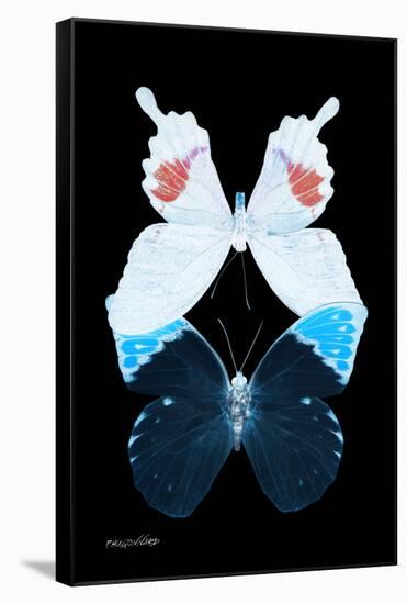 Miss Butterfly Duo Hermosana II - X-Ray Black Edition-Philippe Hugonnard-Framed Stretched Canvas