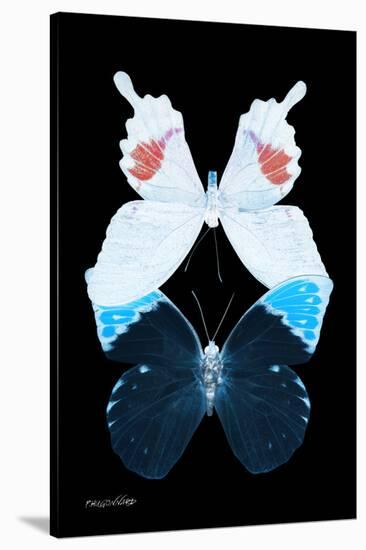 Miss Butterfly Duo Hermosana II - X-Ray Black Edition-Philippe Hugonnard-Stretched Canvas