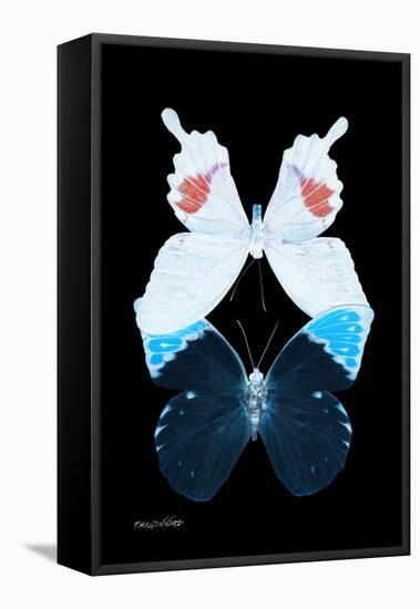 Miss Butterfly Duo Hermosana II - X-Ray Black Edition-Philippe Hugonnard-Framed Stretched Canvas