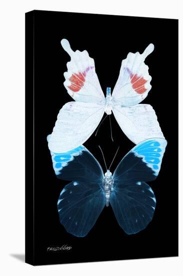 Miss Butterfly Duo Hermosana II - X-Ray Black Edition-Philippe Hugonnard-Stretched Canvas